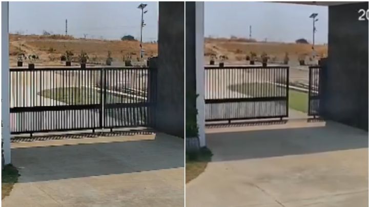 MOMENTO EXACTO en que un poderoso sismo desplaza el suelo 4 metros en segundos | VIDEO