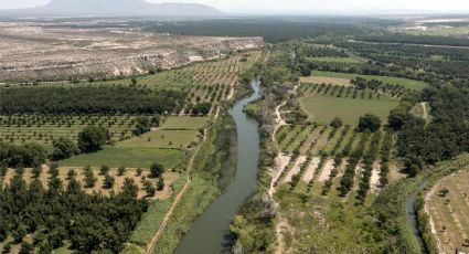 ¿Qué frutas se pueden sembrar a la orilla del Río Bravo?