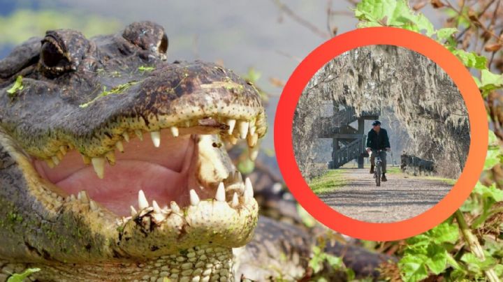 Texas: el parque donde los cocodrilos 'viven' libremente entre los visitantes, ¿te atreverías a ir?