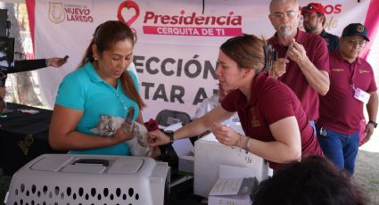 Vacunas gratis para tus mascotas en Nuevo Laredo este viernes 16 de mayo; ¿cuáles son los requisitos?