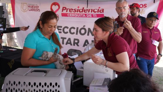 Vacunas gratis para tus mascotas en Nuevo Laredo este viernes 16 de mayo; ¿cuáles son los requisitos?