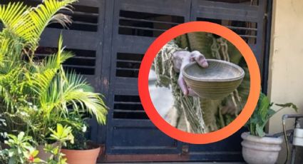 Monterrey: hurgaba la basura y pidió agua… luego robó camioneta y tanda de 70 mil pesos a abuelita