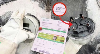 Si CFE y GN llegan a revisar el medidor de luz, ¿el usuario puede impedirlo según la ley?
