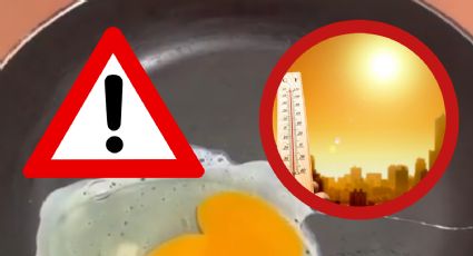 Ola de calor: joven se viraliza al cocinar huevo a 50 grados bajo el sol | VIDEO