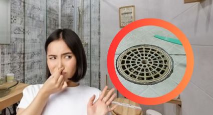 ¿Olor a caño en tu baño?, así puedes eliminarlo de la coladera sin romper el piso