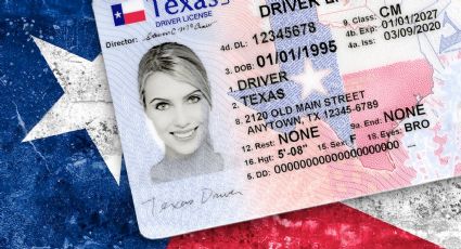 Texas: así puedes saber si tu licencia de conducir cuenta con Real ID para poder viajar en avión