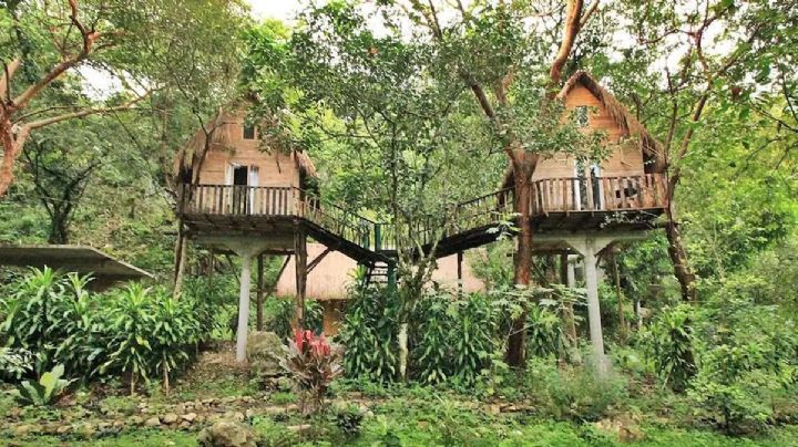 En este Pueblo Mágico puedes dormir en medio del bosque en la casita del árbol; costo y cómo llegar