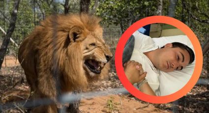 Alcalde de Nuevo León es mordido por león y requiere 12 puntadas; estaba jugando con el felino