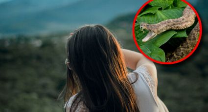 Mujer es mordida por una serpiente en el rostro dentro de su casa; el reptil saltó y le clavó los colmillos