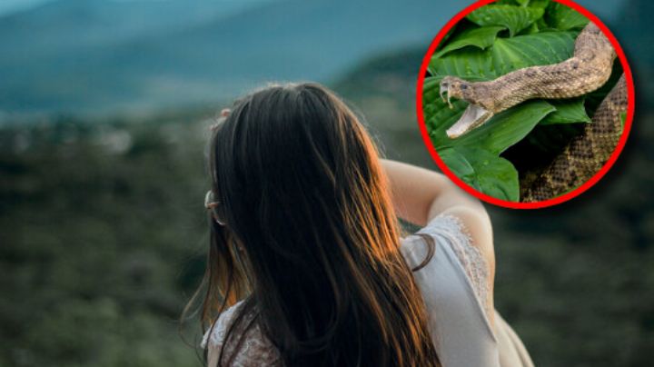 Mujer es mordida por una serpiente en el rostro dentro de su casa; el reptil saltó y le clavó los colmillos