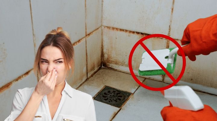 Embellece tu baño y quítale el sarro con este sencillo método: sólo necesitas 6 productos caseros