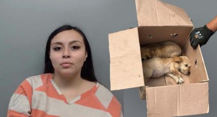 Joven que dejó morir al sol a cachorrito en Laredo tendrá que pagar 6 mil dólares de fianza