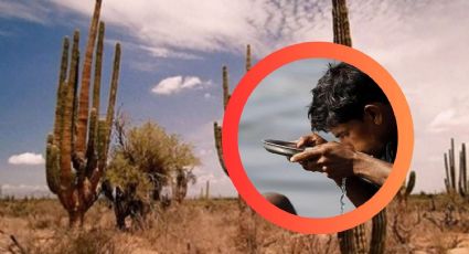 80°C bajo el sol: así se vive en el lugar más caluroso de México; ¿puedes sobrevivir aquí?