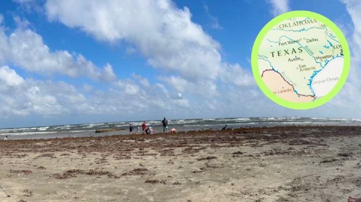 Playas en Texas atraen a turistas por dos fenómenos poco comunes este mes; ¿qué está sucediendo?