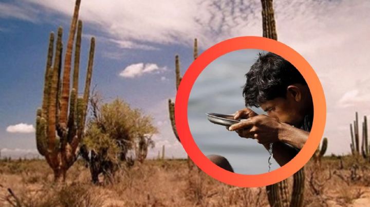 80°C bajo el sol: así se vive en el lugar más caluroso de México; ¿puedes sobrevivir aquí?