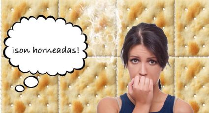 Galletas saladas de México tienen TBHQ que provoca cáncer, ¿qué es y cómo sabe?