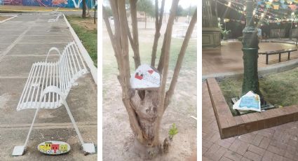 'Siembran' piedras de colores con mensajes positivos en calles y plazas públicas de Nuevo Laredo