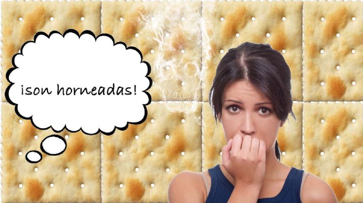 Galletas saladas de México tienen TBHQ que provoca cáncer, ¿qué es y cómo sabe?