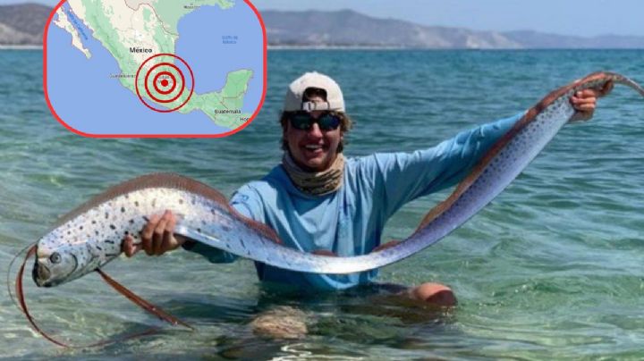 Aparece pez remo en playa mexicana; ¿temblará en los próximos días? | VIDEO