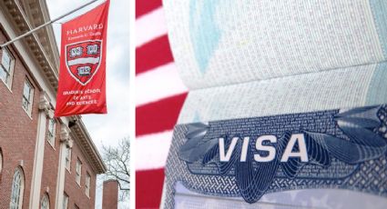Trump cancela visas de estudiante hasta nuevo aviso; suspenden citas programadas en los consulados
