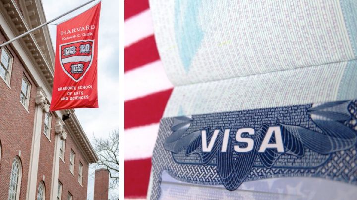 Trump cancela visas de estudiante hasta nuevo aviso; suspenden citas programadas en los consulados