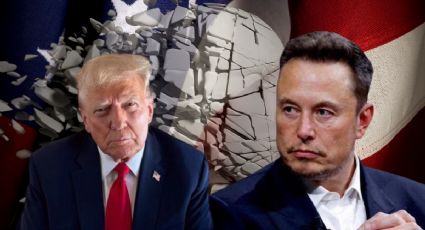 Elon Musk renuncia a su cargo en el gobierno de Trump