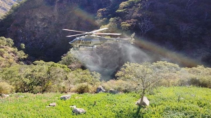 Gobierno mexicano da duro golpe al 'huachicoleo' y narcotráfico