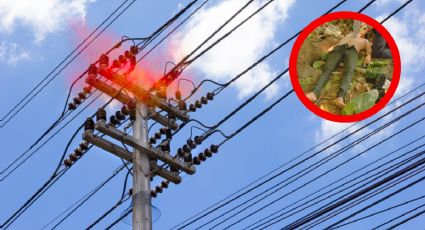Joven muere electrocutado junto a sus compañeros; tan solo hacía su trabajo