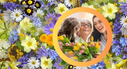 Día de las Madres: las cinco mejores flores para mamá; estas son las que se mantienen más frescas
