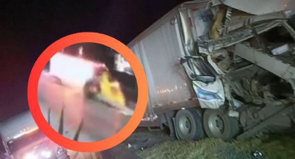 Se quedó dormido al volante: tráiler derriba árbol en aparatoso choque en la México–Querétaro | VIDEO