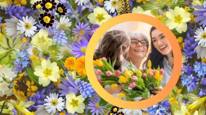 Día de las Madres: las cinco mejores flores para mamá; estas son las que se mantienen más frescas