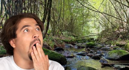 No es China ni Japón, este Pueblo Mágico tiene un hermoso bosque de bambú