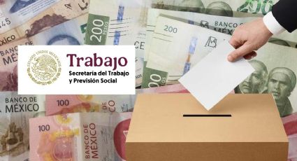 En estos estados sí deberían pagar el triple por elección del domingo 1 de junio