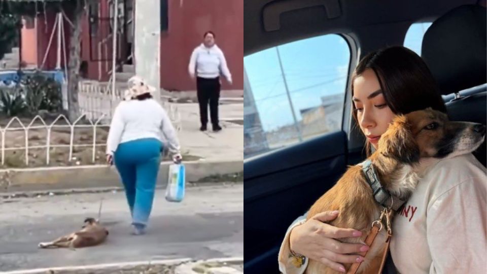 La perrita fue arrastrada por varios metros