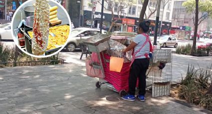 Elotes de agua sucia: mujer es captada rellenando las ollas con líquido de riego | VIDEO
