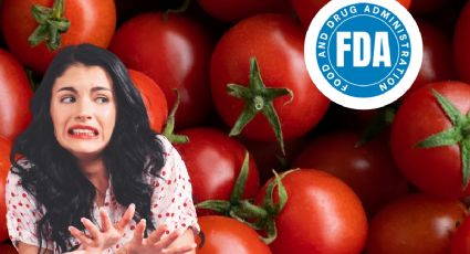 El consumo de este tomate causaría salmonela; FDA comienza a retirarlo de las tiendas