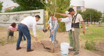 Impulsa Gobierno Municipal campaña de reforestación en espacios públicos y educativos