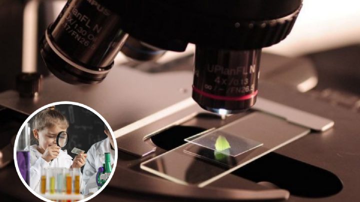 Niños y adolescentes de Laredo podrán descubrir la ciencia de una manera entretenida