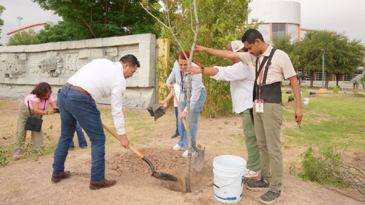 Impulsa Gobierno Municipal campaña de reforestación en espacios públicos y educativos