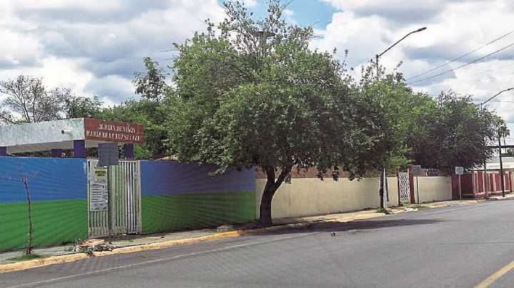 Ola de calor: pueden árboles bajar calor hasta 10 grados