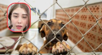 Exfuncionaria de Guadalajara realiza sacrificio animal; la apodan ‘Lady Satánica’