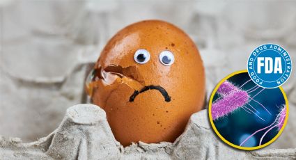 Emiten alerta por huevos contaminados con Salmonela en EU; fueron distribuidos en estas ciudades