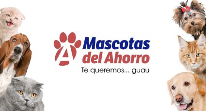 Primero el Dr. Simi, ahora estas farmacias, hasta gratis, darán atención veterinaria a mascotas