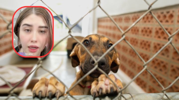 Exfuncionaria de Guadalajara realiza sacrificio animal; la apodan ‘Lady Satánica’