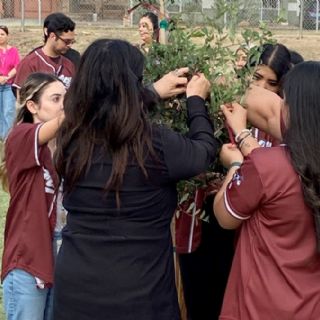 Plantan un roble en honor de Emiliano y Eduardo, los pequeños fallecidos en Santiago, Nuevo León
