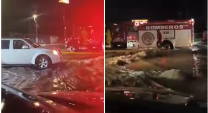 Fuertes tormentas y granizo azotan Piedras Negras; caída de árboles destruye vehículos