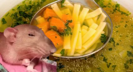 En estos estados de México se prepara el famoso caldo de rata; aseguran que es muy nutritivo