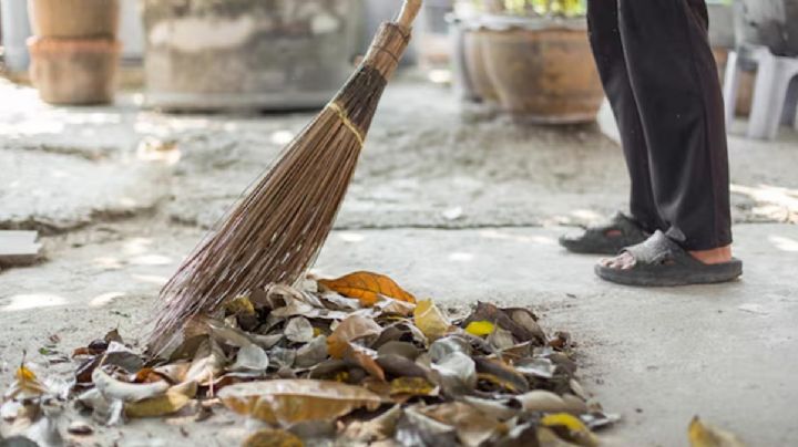 Si plantas un árbol y las hojas ensucian el frente de tu vecino, ¿quién está obligado a barrerlas?