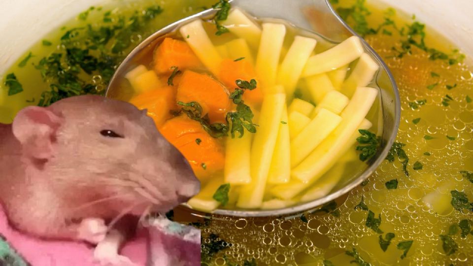 ¿Caldo de rata?; este platillo 'brilla' en estos estados de México