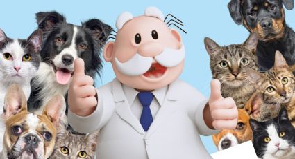 ¿Dónde están las veterinarias del Dr. Simi y cuánto cuestan las consultas?